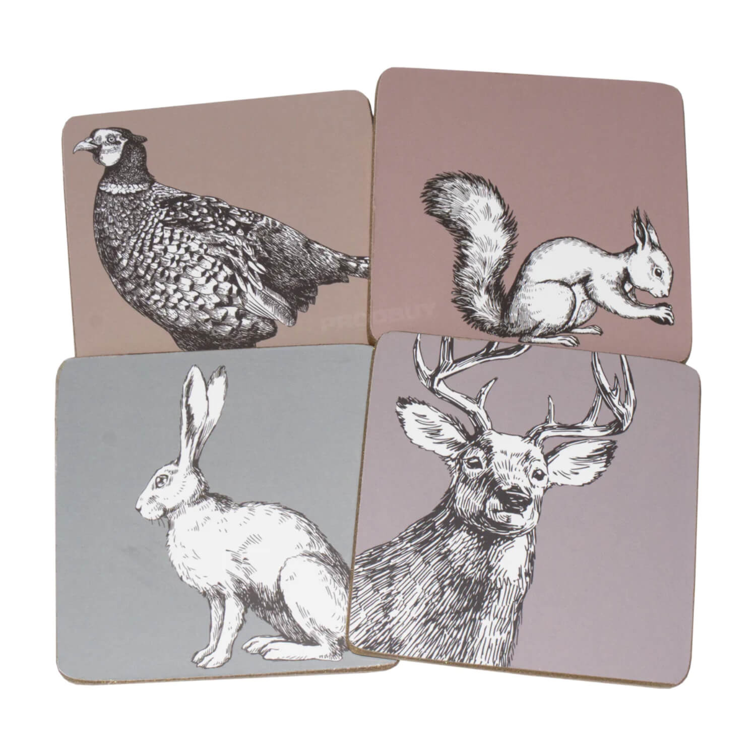 Buy iStyle 4 Piece Square Coaster Set Woodland Animals