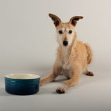 Scruffs Ombré 19cm Stoneware Pet Bowl - Blue