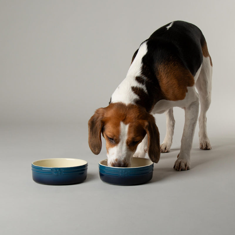 Scruffs Ombré 15cm Stoneware Pet Bowl - Blue