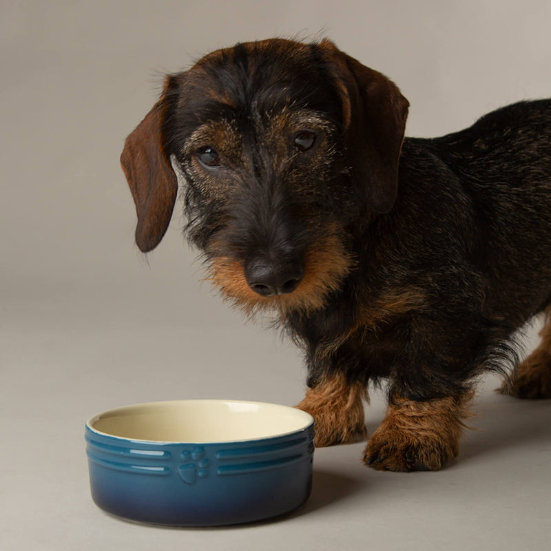 Scruffs Ombré 13cm Stoneware Pet  Bowl - Blue