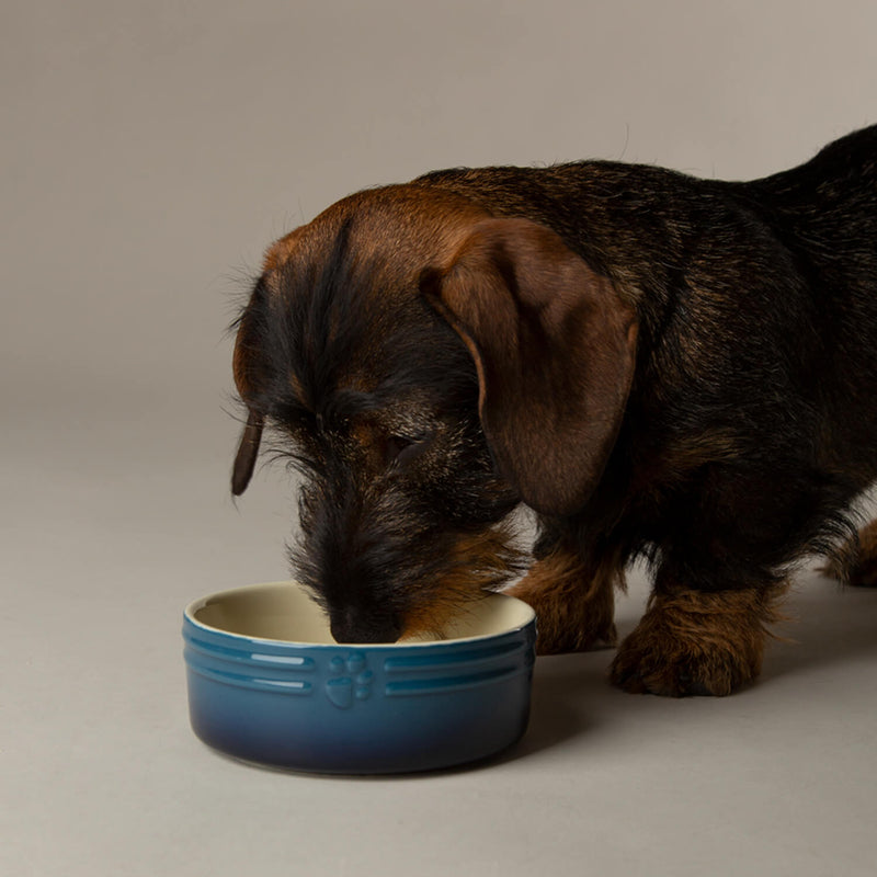 Scruffs Ombré 13cm Stoneware Pet  Bowl - Blue