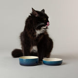 Scruffs Ombré 13cm Stoneware Pet Saucer - Blue