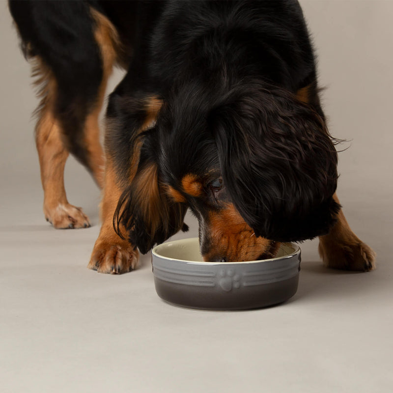 Scruffs Ombré 13cm Stoneware Pet Bowl - Grey