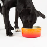 Scruffs Ombré 13cm Stoneware Pet Bowl - Orange