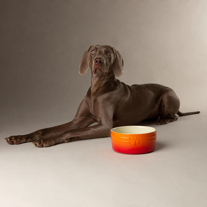 Scruffs Ombré 19cm Stoneware Pet Bowl - Orange