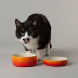 Scruffs Ombré 13cm Stoneware Pet Saucer - Orange