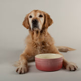 Scruffs Ombré 19cm Stoneware Pet Bowl - Pink