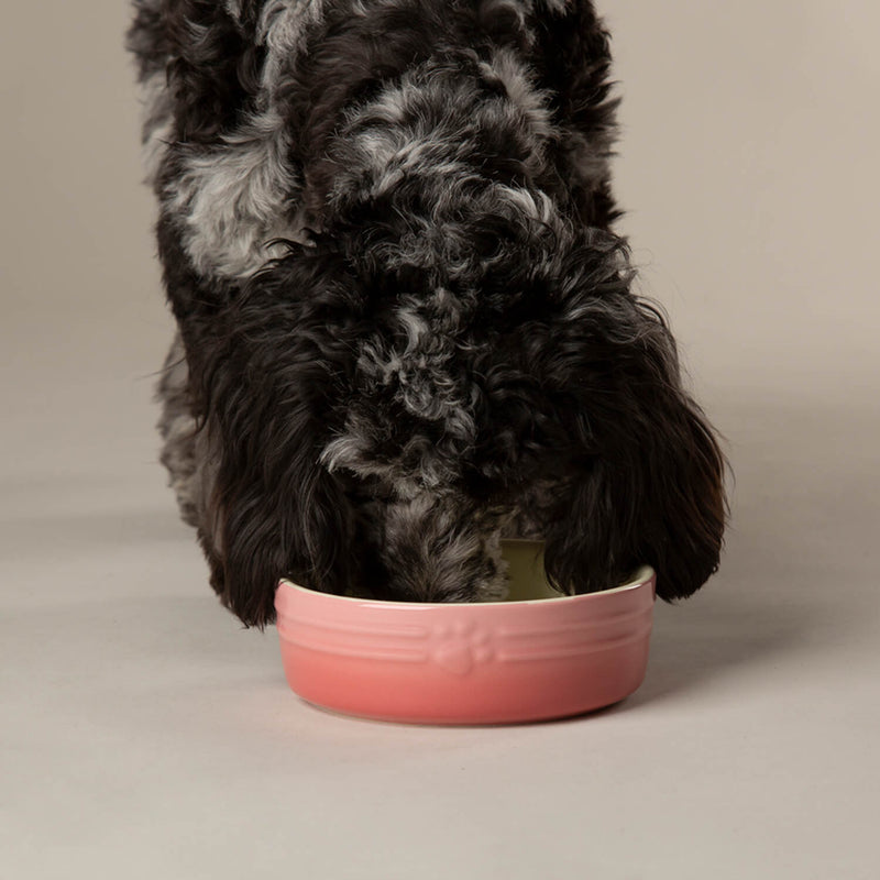 Scruffs Ombré 15cm Stoneware Pet Bowl - Pink