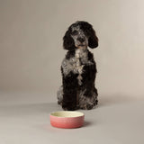 Scruffs Ombré 15cm Stoneware Pet Bowl - Pink