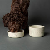 Scruffs Icon 15cm Stoneware Pet Food Bowl - Cream