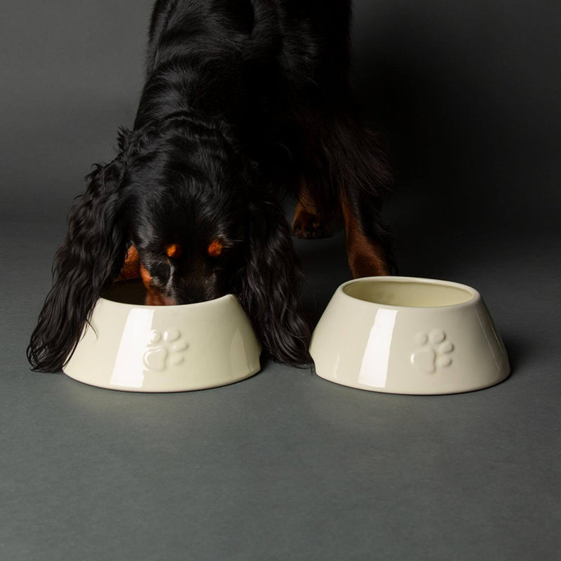 Scruffs Icon 21cm Stoneware Long Eared Dog Food Bowl - Cream