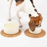 Scruffs Icon 15cm Stoneware Pet Water Bowl - Cream