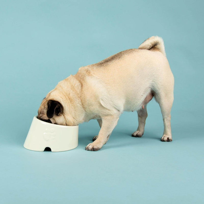 Scruffs Icon 18cm Stoneware Flat Faced Pet Food Bowl - Cream