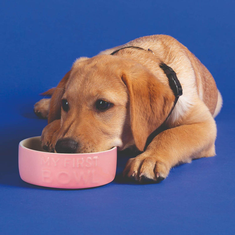 Scruffs My First 13cm Stoneware Bowl - Pink