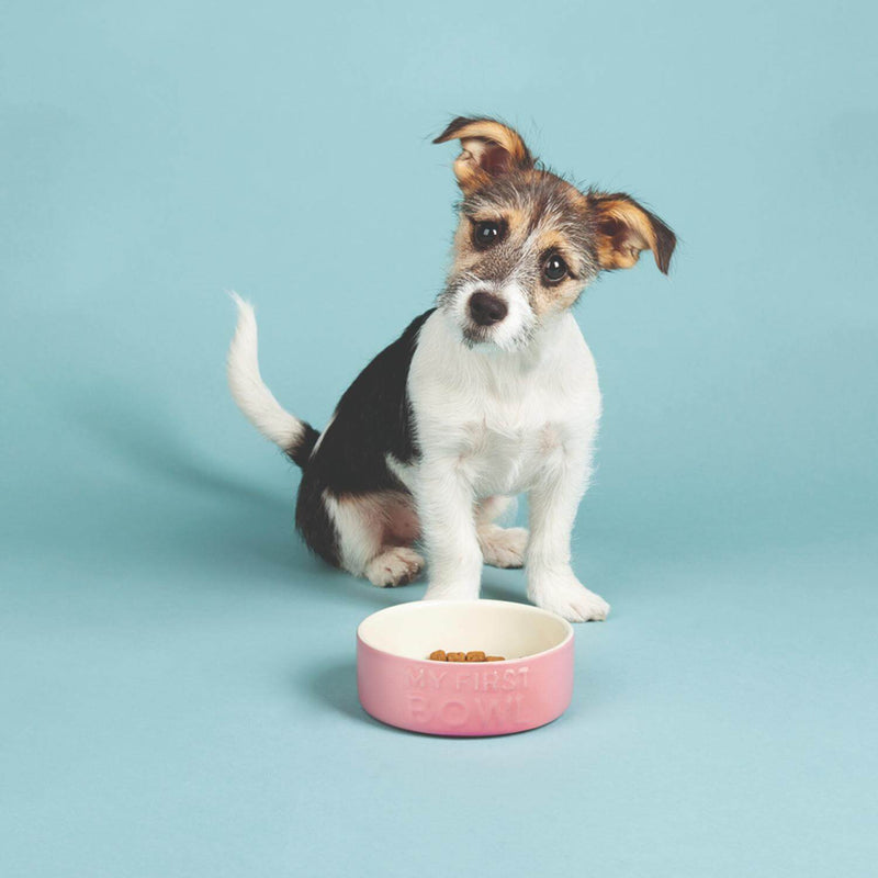 Scruffs My First 13cm Stoneware Bowl - Pink