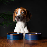 Scruffs Reactive Glaze 15cm Stoneware Food/Water Pet Bowl - Midnight Blue