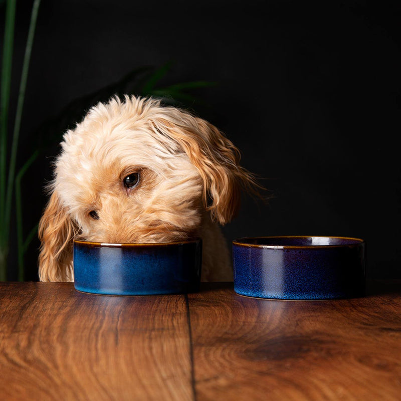 Scruffs Reactive Glaze 13cm Stoneware Food/Water Pet Bowl - Midnight Blue