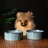 Scruffs Reactive Glaze 13cm Stoneware Food/Water Pet Bowl - Pinstripe Graphite