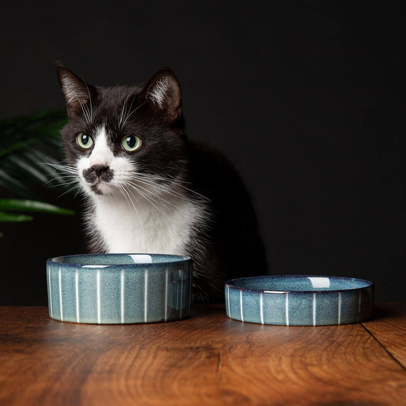 Scruffs Reactive Glaze 13cm Stoneware Pet Saucer - Pinstripe Graphite