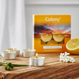 Wax Lyrical Colony Pack of 9 Scented Tealights - Golden Hour