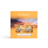 Wax Lyrical Colony Pack of 9 Scented Tealights - Golden Hour