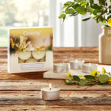 Wax Lyrical Colony Pack of 9 Scented Tealights - Sweet Honeysuckle