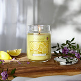 Wax Lyrical Colony Large Scented Candle Jar - Sparkling Lemon