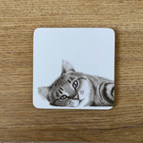 Katherine Sheard Coaster - Carter Cat