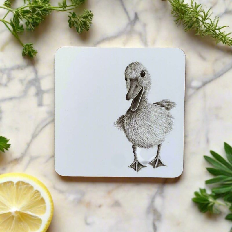 Katherine Sheard Coaster - Duckling