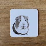 Katherine Sheard Coaster - Ginny Guinea Pig