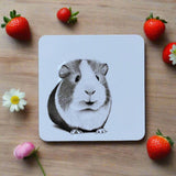 Katherine Sheard Coaster - Ginny Guinea Pig