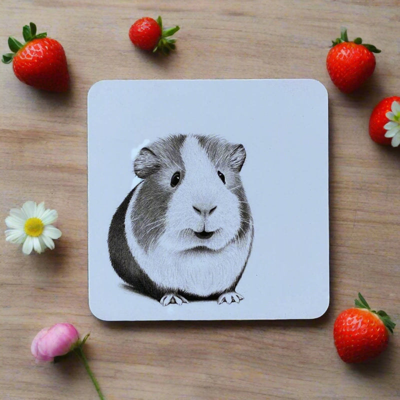 Katherine Sheard Coaster - Ginny Guinea Pig