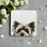 Katherine Sheard Coaster - Mabel Terrier