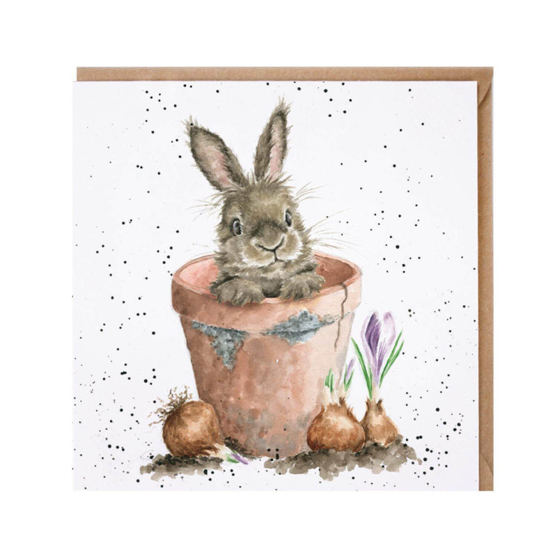 Wrendale Designs by Hannah Dale Card - The Flower Pot - Rabbit