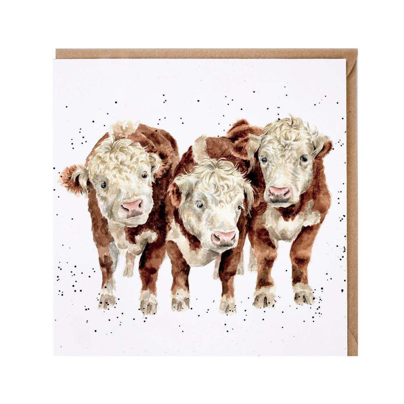 Wrendale Designs by Hannah Dale Card - Paddy, Percy & Pedro - Cows