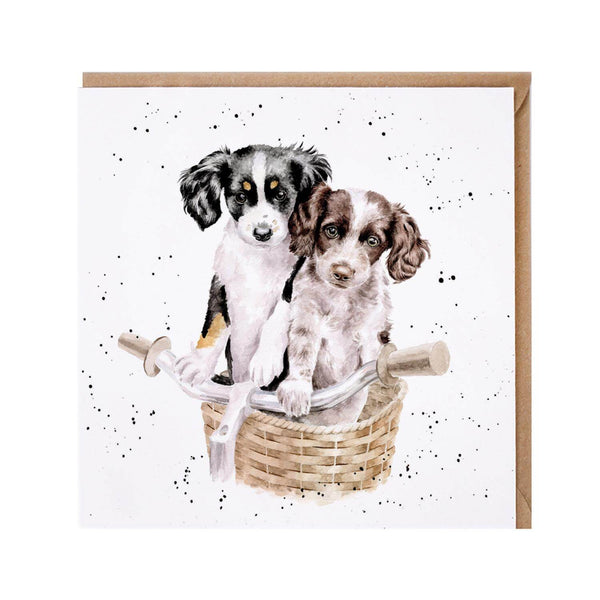 Wrendale Designs by Hannah Dale Card - Paws & Pedals - Dog