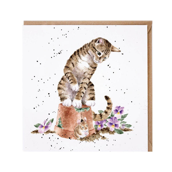 Wrendale Designs by Hannah Dale Card - Hide & Squeak - Cat