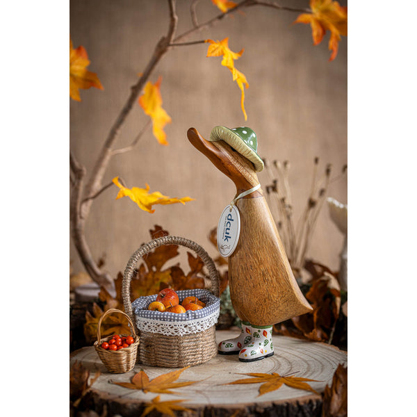 DCUK Autumn Days Duckling - Assorted