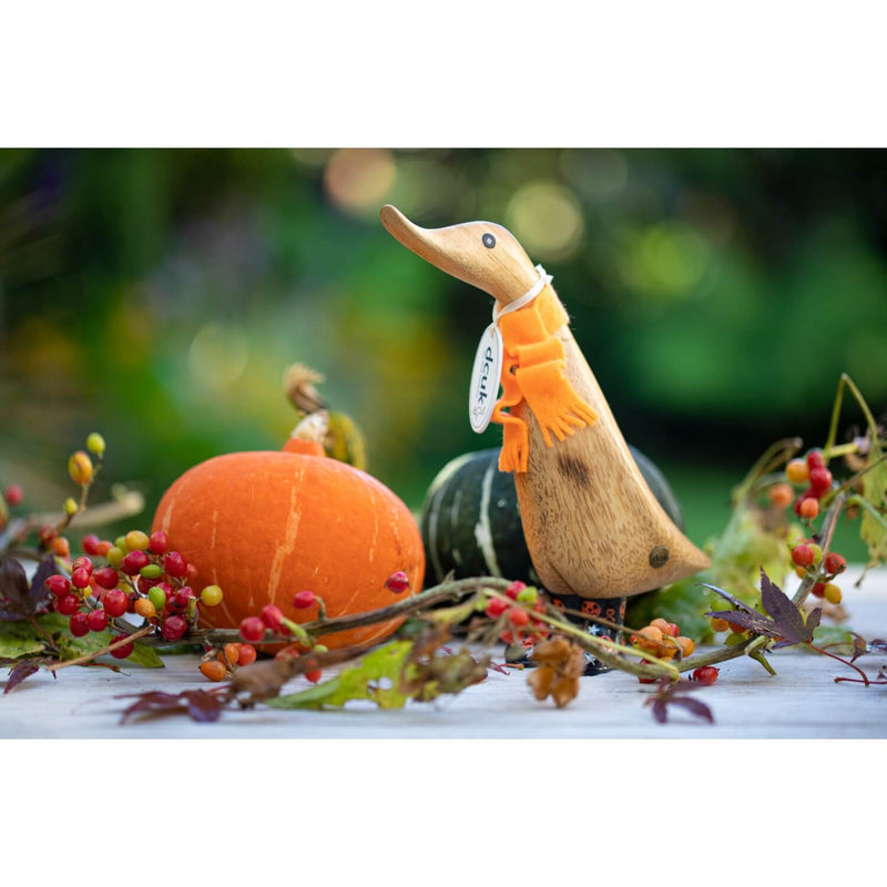 Buy DCUK | Halloween Ducklings - 2 Designs – Potters Cookshop