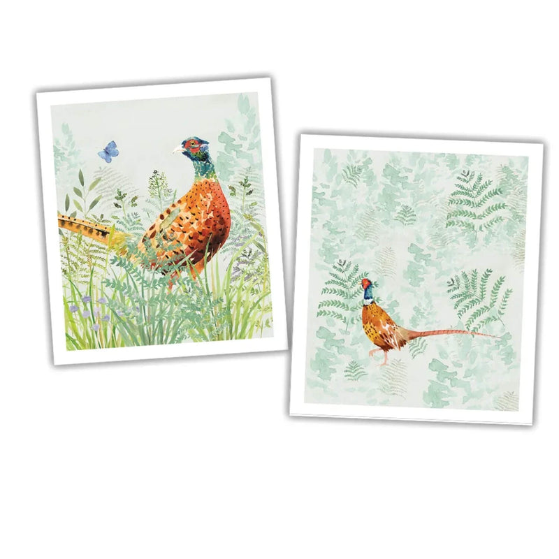 National Trust Plant Based Set Of 2 Cleaning Cloths - Pheasant