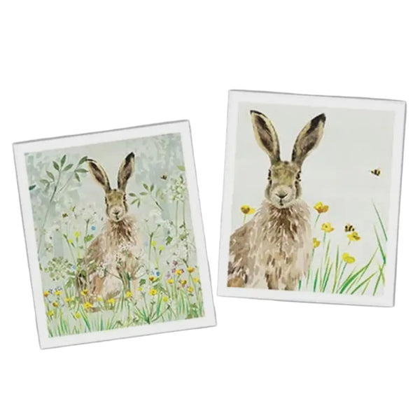 National Trust Plant Based Set Of 2 Cleaning Cloths - Hare