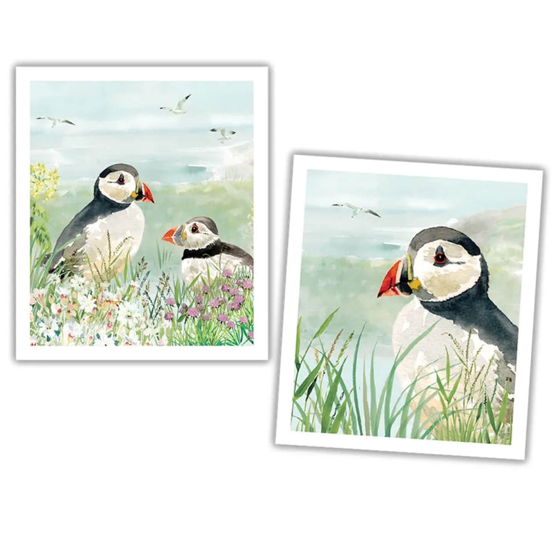 National Trust Plant Based Set Of 2 Cleaning Cloths - Puffin