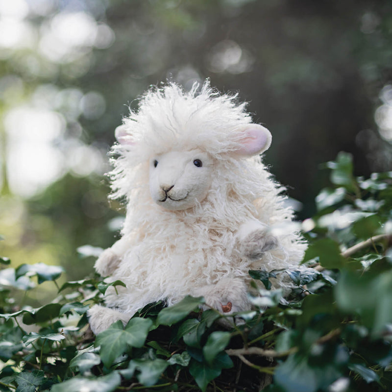 Wrendale Designs by Hannah Dale Junior Plush Toy - Beryl the Sheep