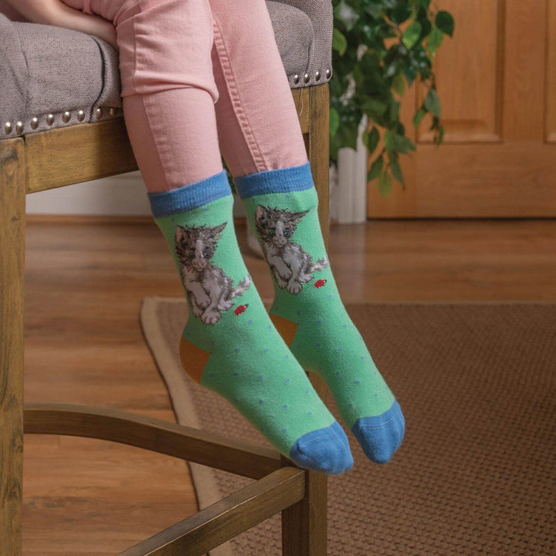 Wrendale Designs By Hannah Dale Childrens 6 to 8½ Bamboo Socks - Ladybird