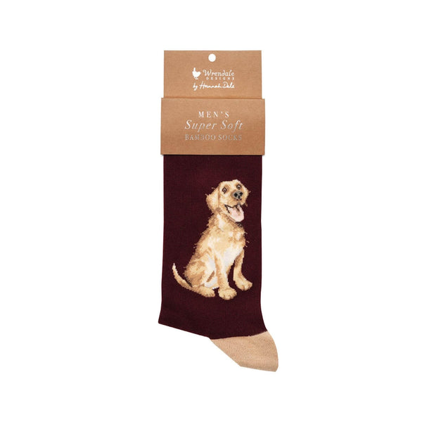 Wrendale Designs by Hannah Dale Mens Bamboo Socks - Good As Gold - Labrador