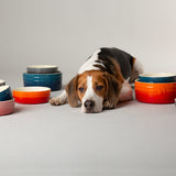 Scruffs Ombré 15cm Stoneware Pet Bowl - Orange