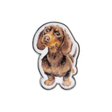 Wrendale Designs by Hannah Dale Pin Badge - Little Sausage - Dog