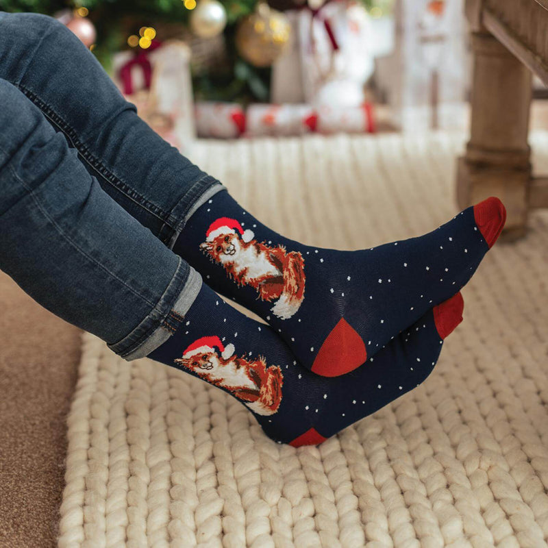 Wrendale Designs by Hannah Dale Mens Christmas Bamboo Socks - Festive Fox