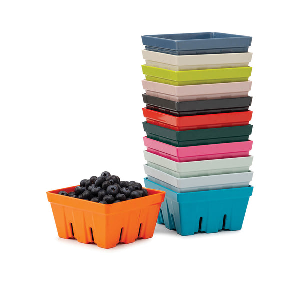 Zeal 12cm Melamine Berry Box & Colander - Aqua