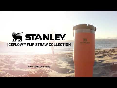 Stanley IceFlow 890ml Flip Straw Travel Tumbler  - Frost